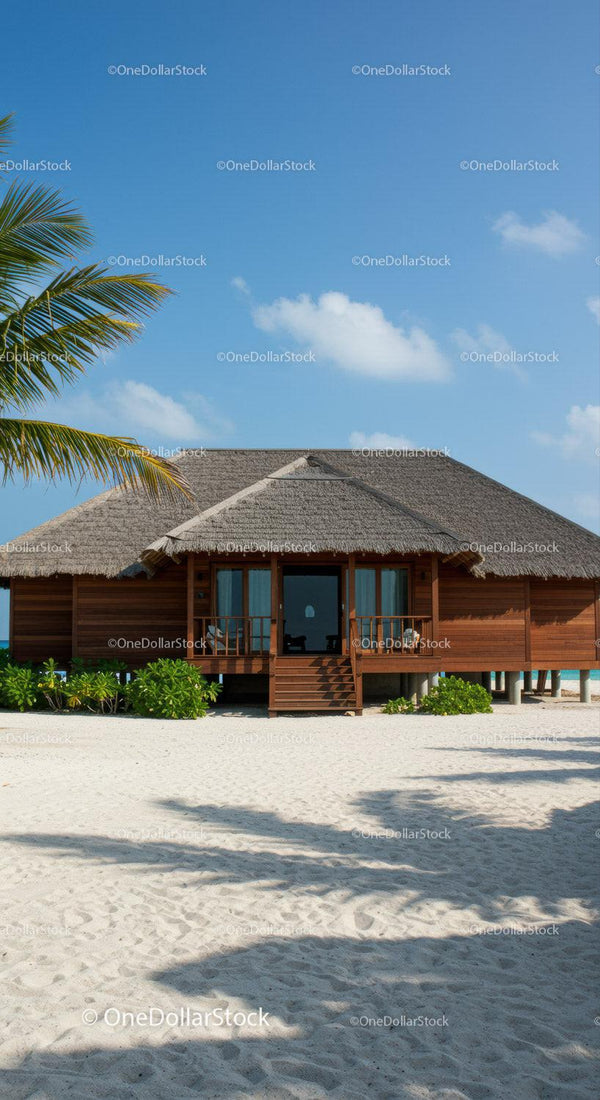 Tropical Beachside Bungalow Overlooking Crystal Clear Water and Sandy Shore