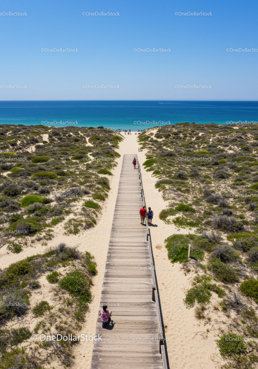 Wooden Pathway Through Sand Dunes Leading to Blue Ocean Under Clear Sky