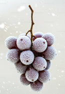 Frozen red grapes covered with sparkling frost