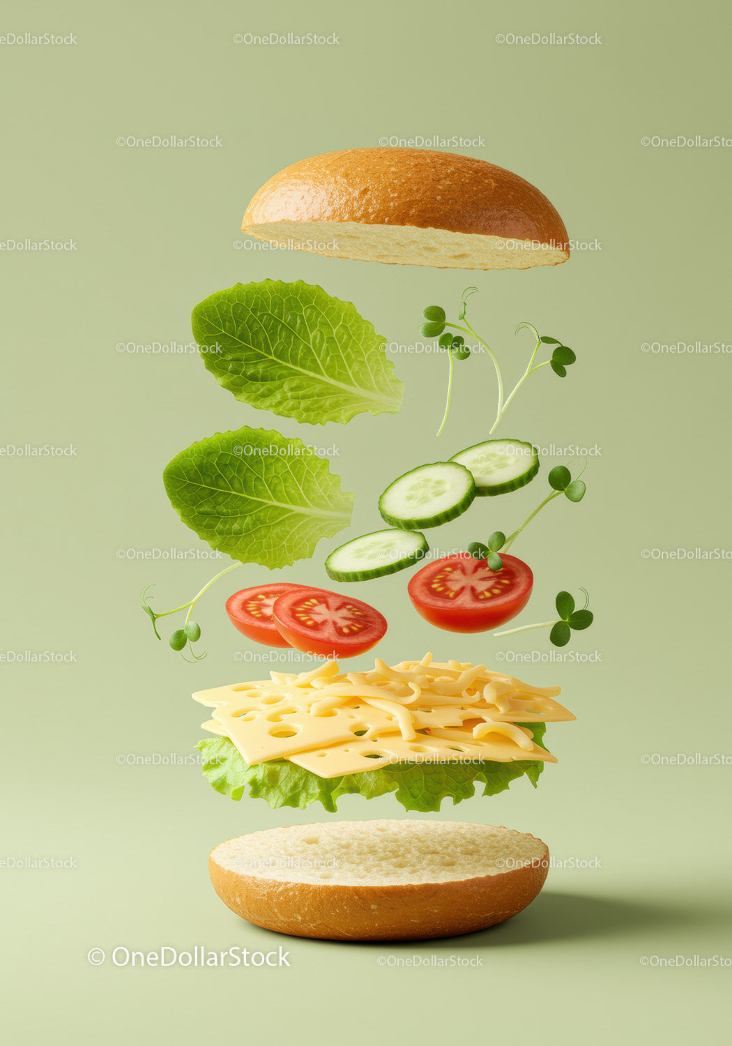 Fresh Vegetarian Sandwich Ingredients Floating in Air