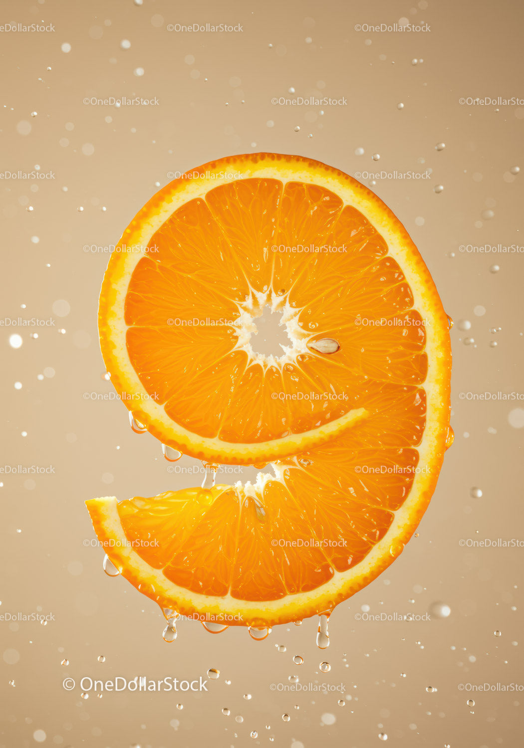 Fresh orange slice with glistening water droplets