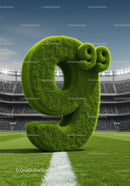 Grass-covered number nine on soccer field center line