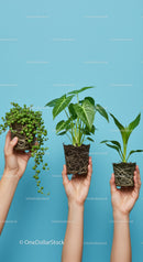 Three Hands Holding Various Potted Green Plants