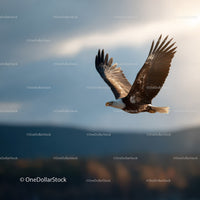 Majestic Bald Eagle in Flight over Mountain Landscape