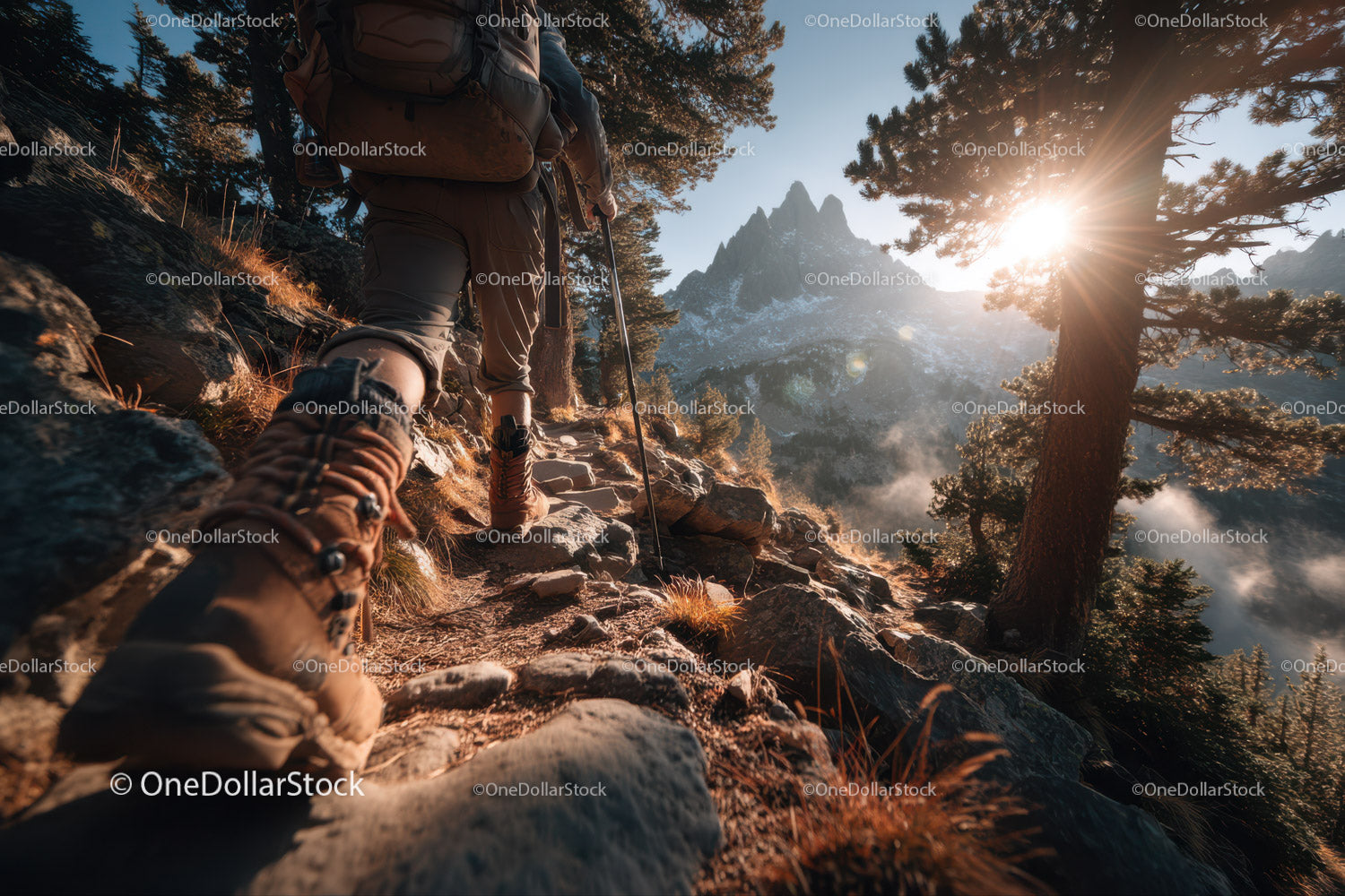 Mountain Hiking Scene with Pine Trees and Rocky Trail at Sunset