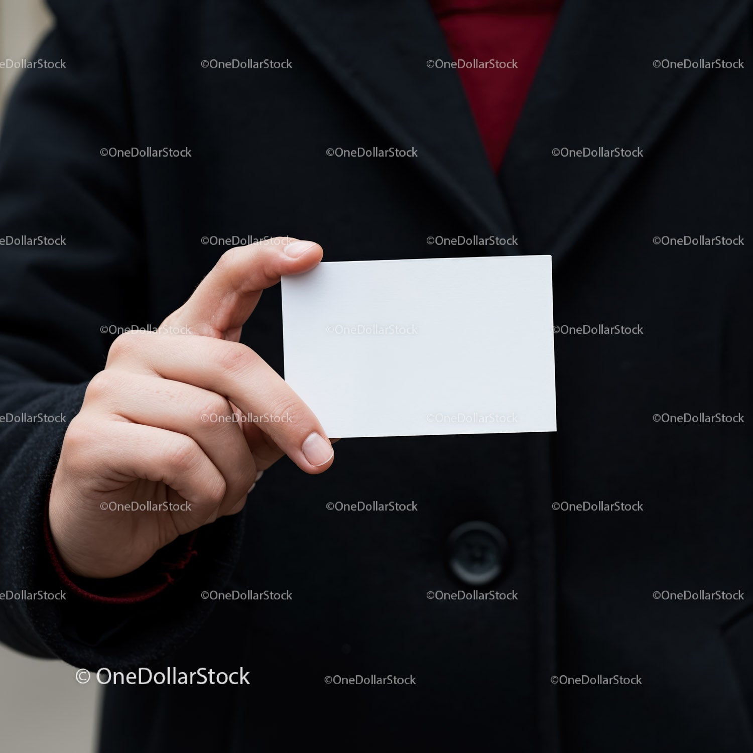 Person Holding Blank White Business Card Outdoors