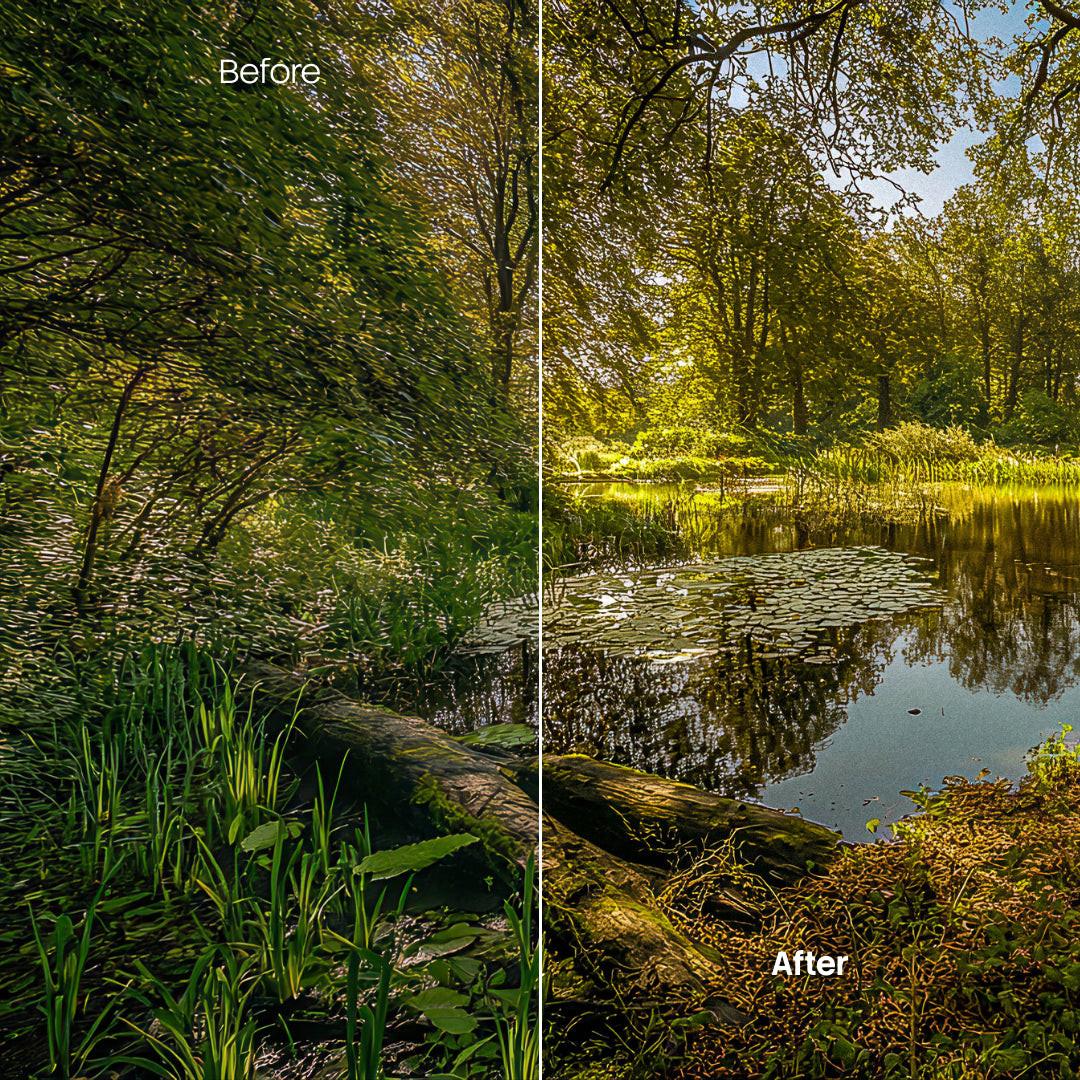 outdoor photography edit with Autumn Path Lightroom presets