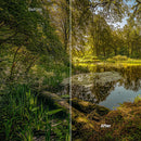 outdoor photography edit with Autumn Path Lightroom presets