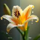 Floral XMP presets color grading preview
