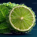 Close-Up of Fresh Lime with Mint Leaf and Water Droplets