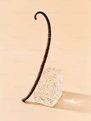 Vanilla bean pod with two natural sugar cubes