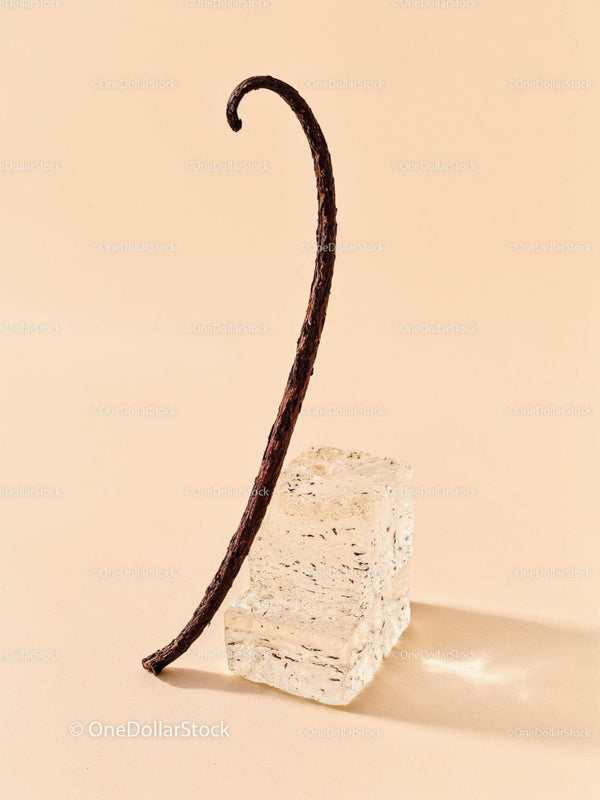 Vanilla bean pod with two natural sugar cubes