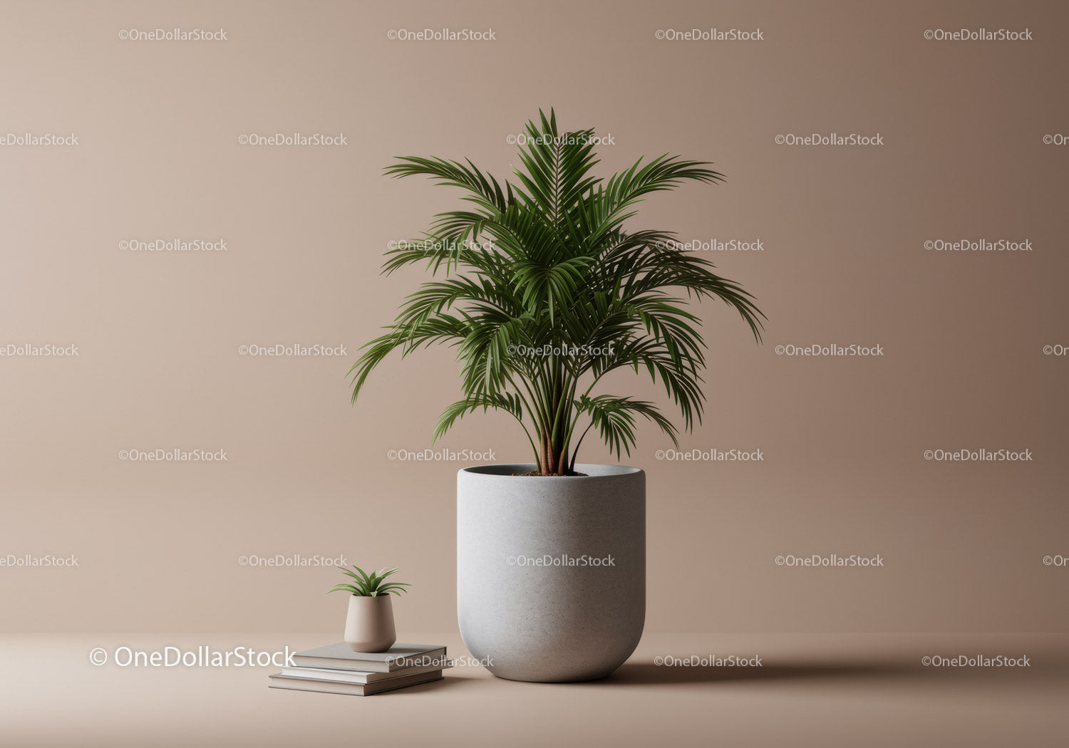 Elegant Potted Palm in Modern Minimalist Home Decor