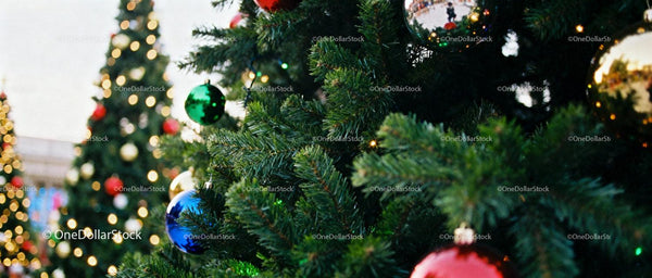 Close up of decorated Christmas tree with colorful baubles