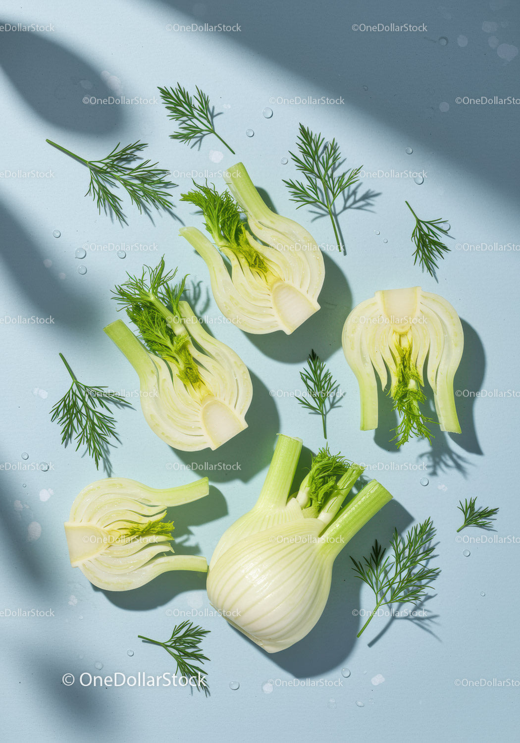 Fresh fennel bulbs and dill sprigs on blue surface
