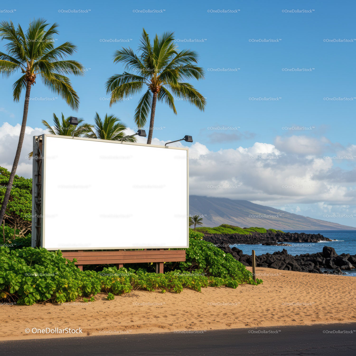Blank billboard by tropical beach with palm trees
