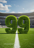 Grass Turf Number 99 on Sport Stadium Field