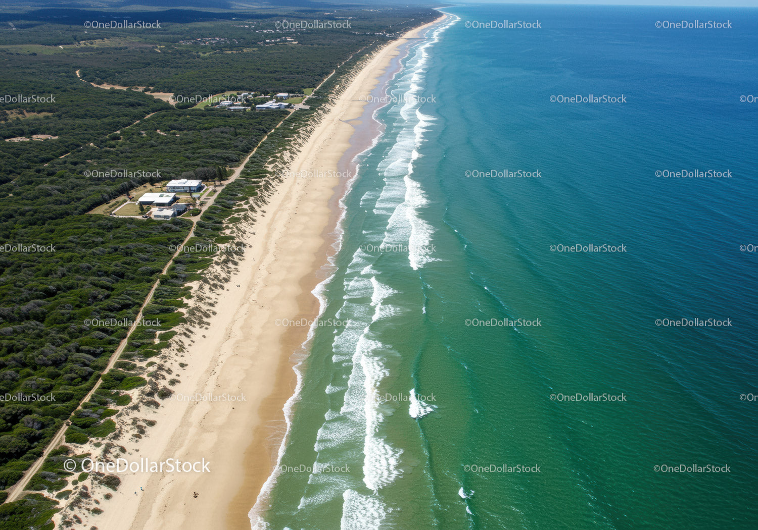 Scenic Aerial View of Sandy Beach and Verdant Coastline with Ocean Waves