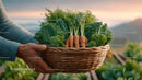 Fresh Carrots and Kale in Wicker Basket in Natural Outdoor Setting