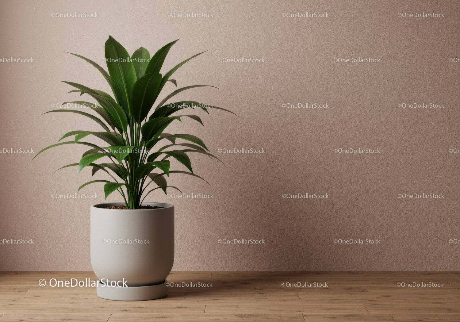 Green Indoor Foliage Plant in White Pot on Wooden Floor