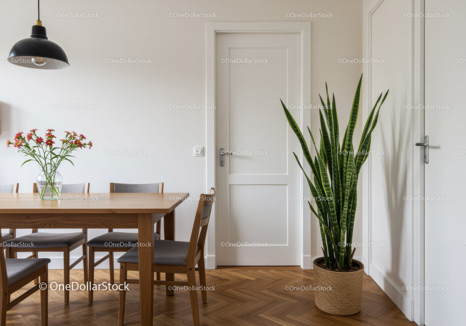 Contemporary Dining Room with Wooden Table and Indoor Plant