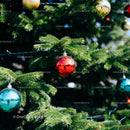 Festive Christmas Tree Branches with Colorful Baubles