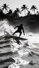 Surfer carving waves near palm tree lined shore