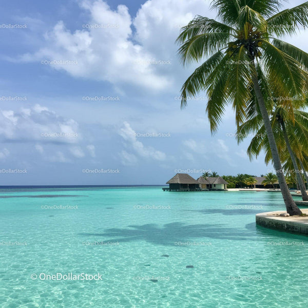 Tropical Beach with Palm Trees and Overwater Bungalows in Paradise