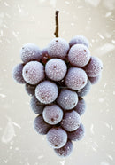 Close up of frosted grapes on a soft background