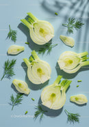 Fresh fennel bulbs and green dill on blue background