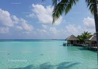 Idyllic Tropical Beach with Overwater Biki Huts and Palm Trees