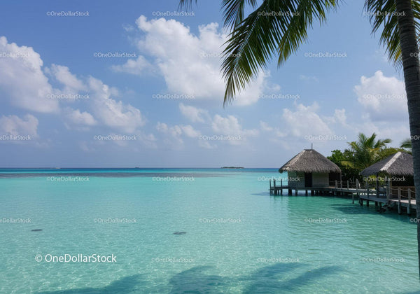 Idyllic Tropical Beach with Overwater Biki Huts and Palm Trees