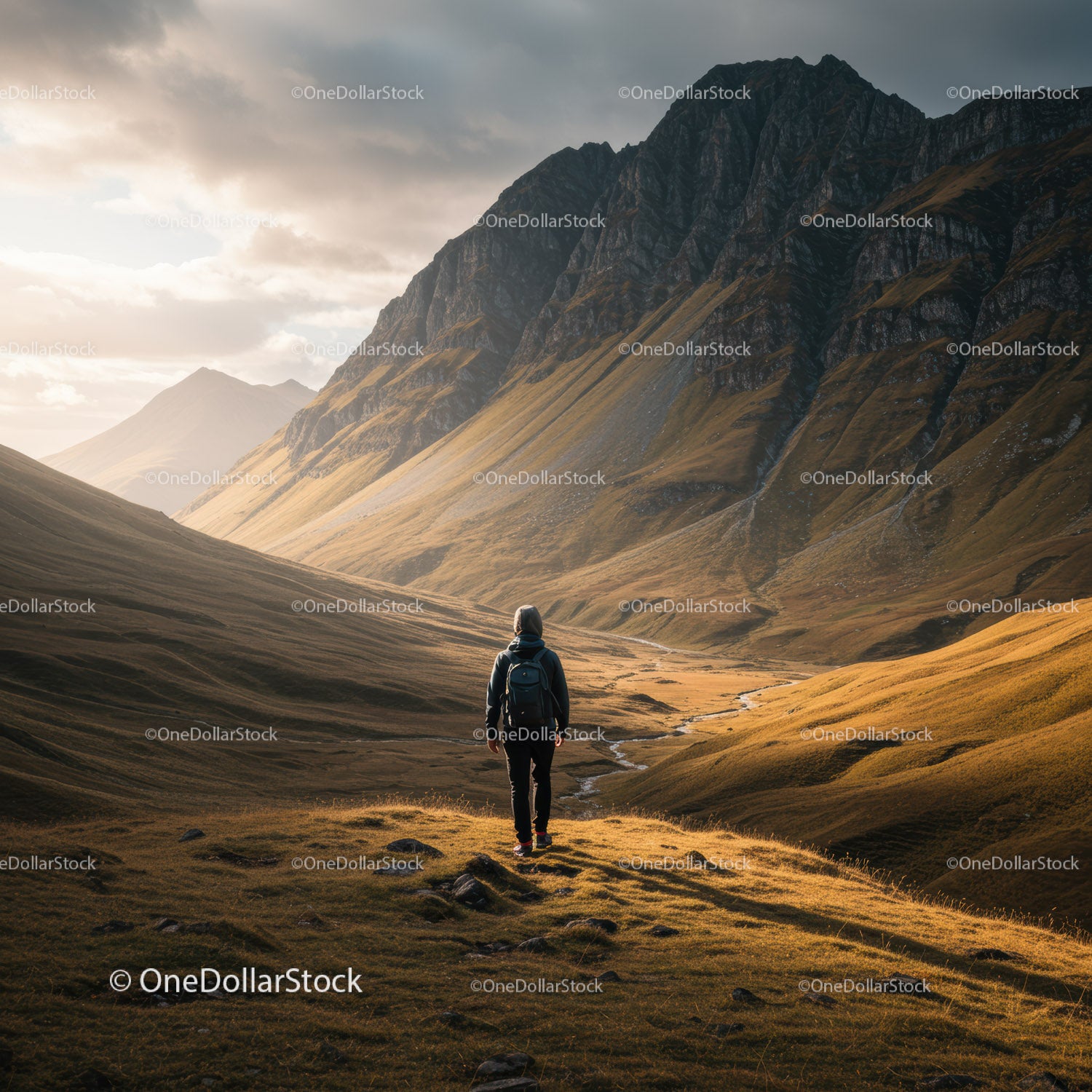 Scenic Mountain Valley with Hiking Trail and Solitary Hiker