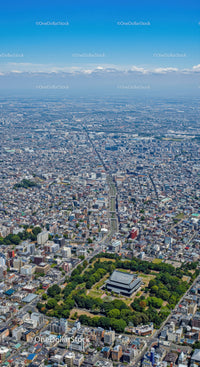 Aerial View of Tokyo with Traditional Temple and Modern Skyline