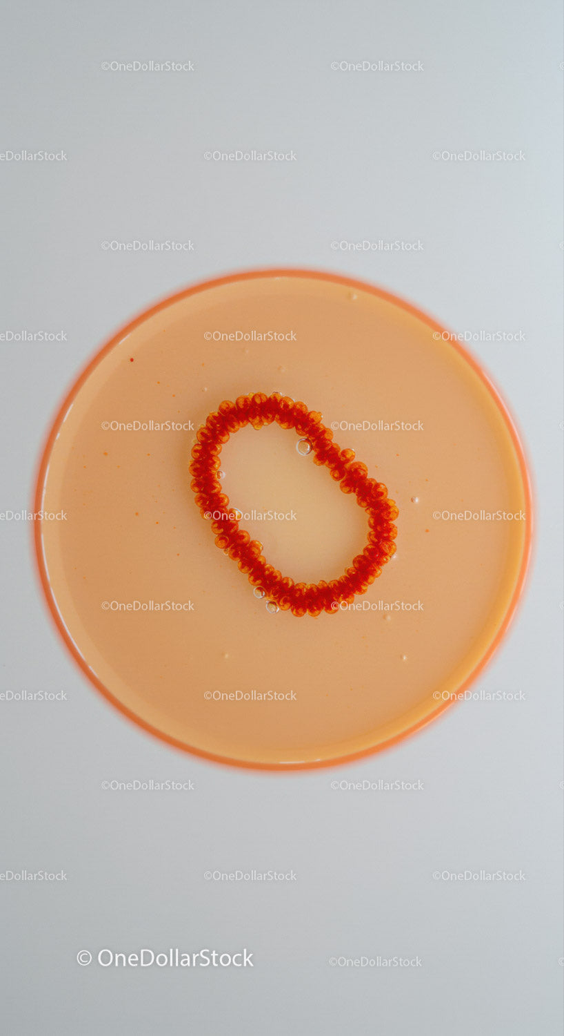 Elegant Orange Facial Mask in Glass Bowl for Beauty and Skincare