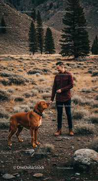 Man interacting with brown dog in autumn mountain landscape