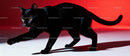 Black cat prowling with intense gaze on red background
