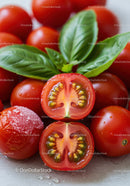 Fresh cherry tomatoes with basil leaves close up