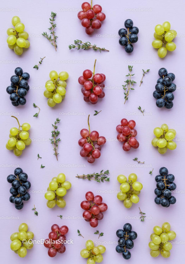 Colorful grape clusters and fresh thyme on pastel background
