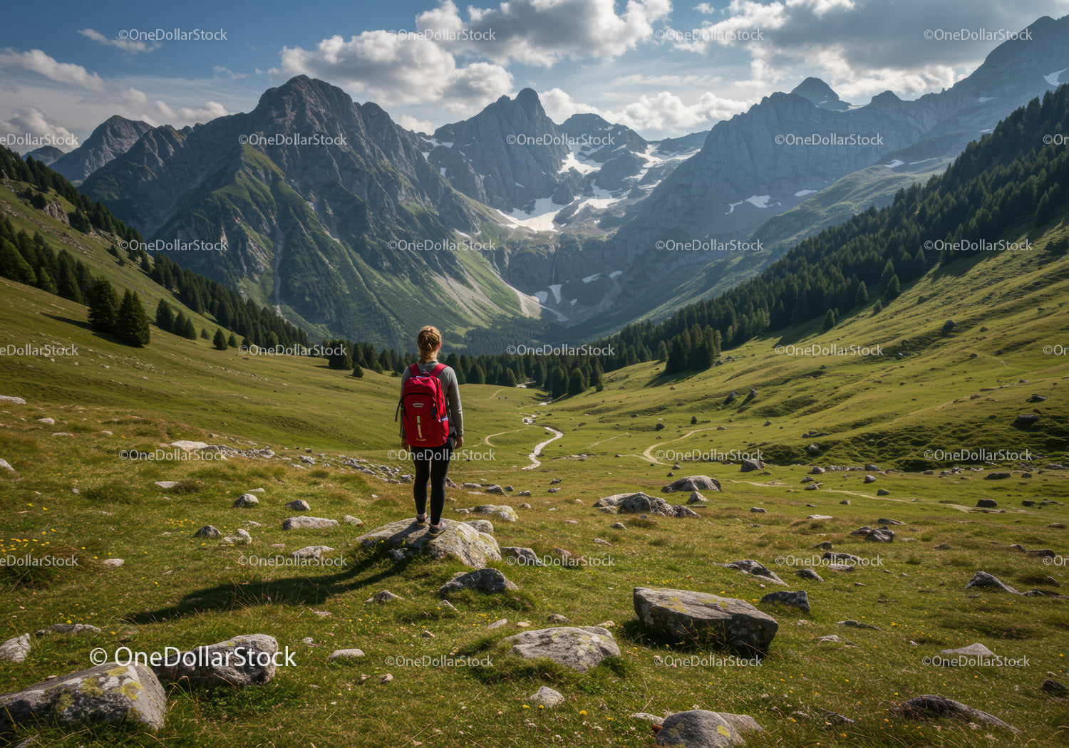 Scenic Mountain Valley with Green Hills and Rocky Peaks