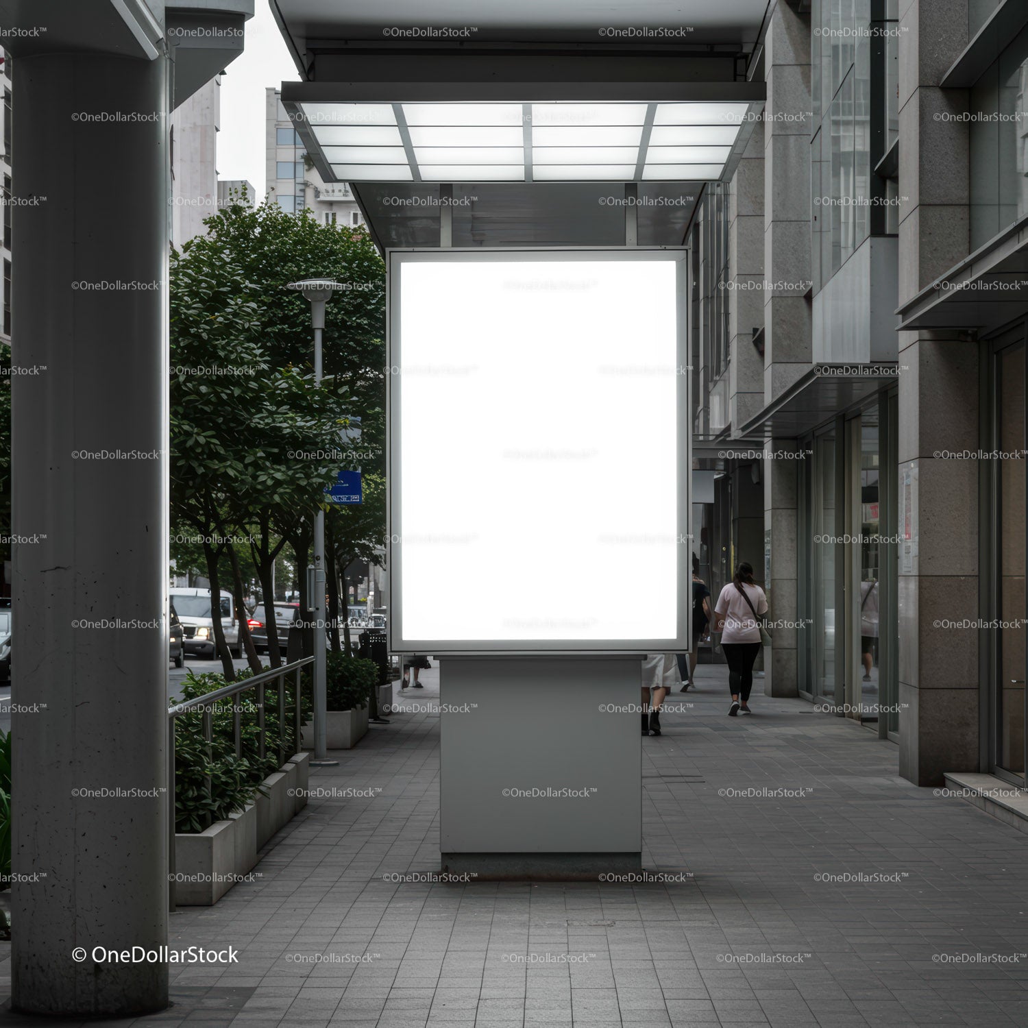 Blank Urban Advertising Billboard on Modern City Street