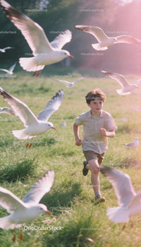 Young boy running through field surrounded by seagulls