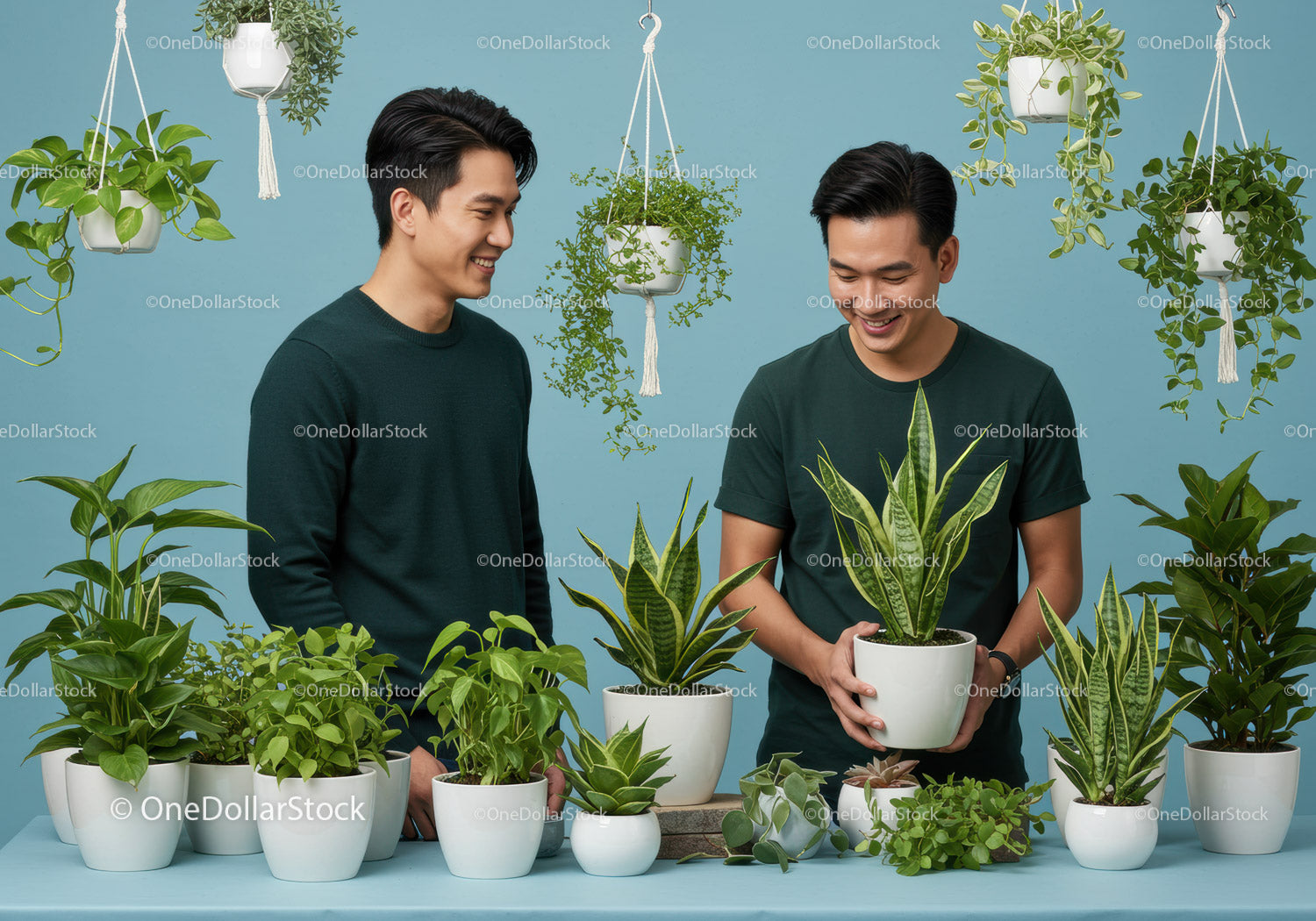 Two men enjoying indoor plants in bright studio