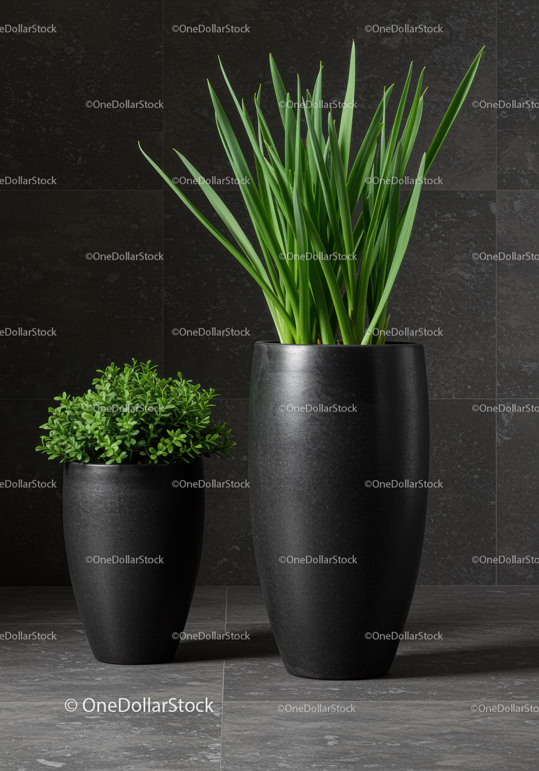 Elegant Green Foliage in Modern Black Decorative Vases for Interior Design