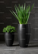 Elegant Green Foliage in Modern Black Decorative Vases for Interior Design