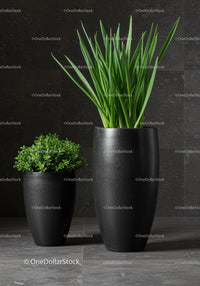 Elegant Green Foliage in Modern Black Decorative Vases for Interior Design