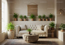 Cozy beige living room with lush green plants