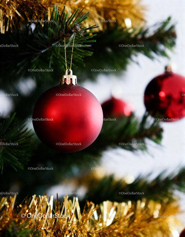 Red Christmas Ornament Hanging on Festive Green Tree