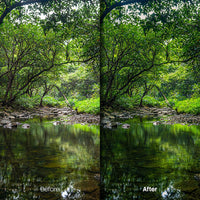 outdoor photography edit with Cinematic Nature Lightroom presets