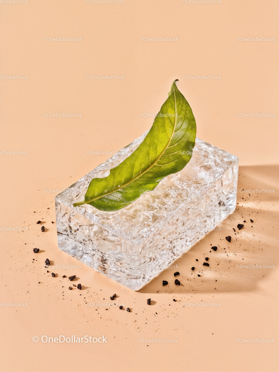 Fresh green leaf resting on textured ice block